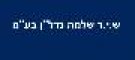 S.Shlomo Holdings logo
